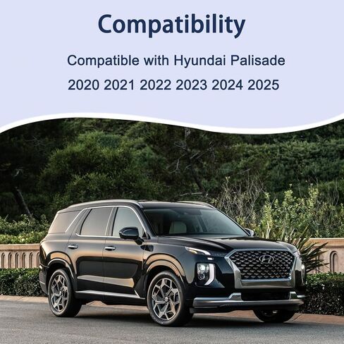 Hyundai Palisade Engine and Cabin Air Filter Set (2020 2021 2022 2023 2024 2025) Replace for 97133S8000, WP10080, 28113A9100, CA11943 in Kuwait