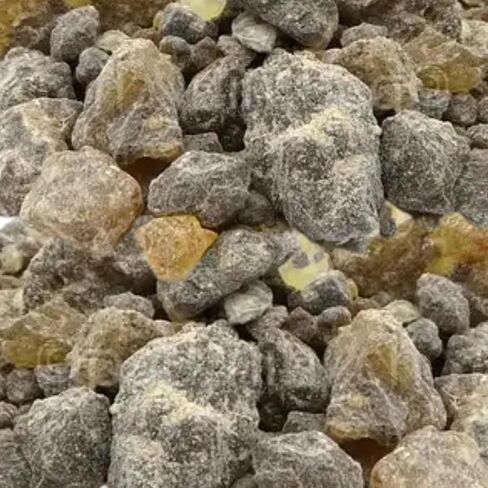 8 oz. Somalian Frankincense Resin Boswellia Carteri Gum Olibanum Grade 4 – Natural Incense Resin for Burning, Spiritual Use, Home Fragrance, Crafting, and Aromatherapy – Premium Quality in Saudi Arabia