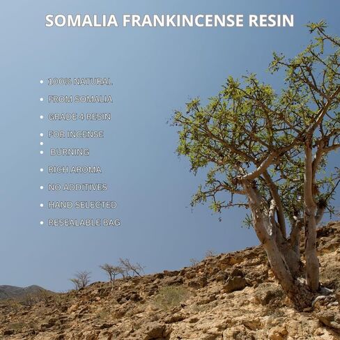 8 oz. Somalian Frankincense Resin Boswellia Carteri Gum Olibanum Grade 4 – Natural Incense Resin for Burning, Spiritual Use, Home Fragrance, Crafting, and Aromatherapy – Premium Quality in Saudi Arabia