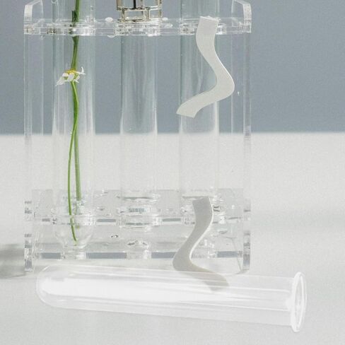 4pcs Clear Test Tubes for Cutting Plant Glass Propagation Tubes for Hydroponic Plants, Flowers, Home Office Wall Decor in Saudi Arabia