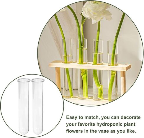 4pcs Clear Test Tubes for Cutting Plant Glass Propagation Tubes for Hydroponic Plants, Flowers, Home Office Wall Decor in Saudi Arabia