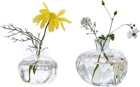 Glass Bud Vase Set of 2, Small Vases for Flowers, Hydroponic Vase Mini Cute Clear Pomegranate Vase, Glass Vases for Centerpieces, Decorative Rustic Home Dining Table Decor, Wedding Decorations (red) in Kuwait