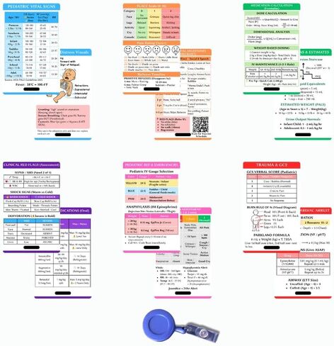6 Pediatric Nursing Reference Cards with Badge Reel - Peds Vital Signs and Nurse Cheat Sheets for Nursing Students - Pediatric Nurse Essentials and Accessories in Saudi Arabia