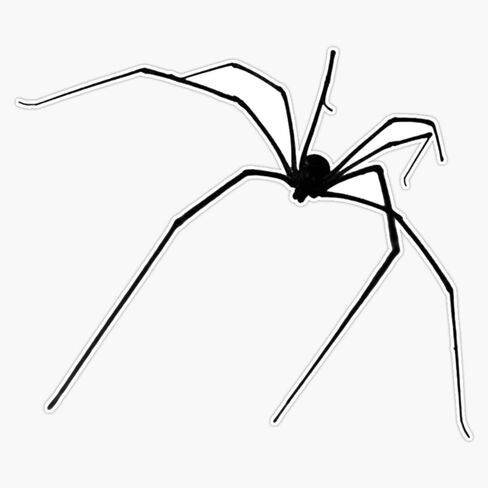 Black Spider Tattoo Sticker Bumper Sticker Vinyl Decal 5" in Saudi Arabia