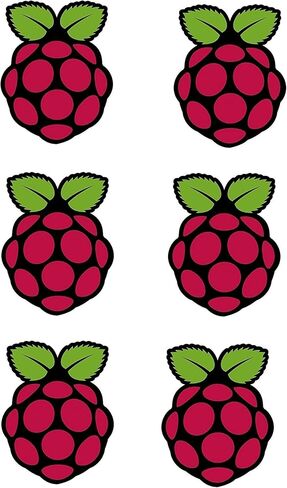 Pack of 6-2'' Stickers - Fruity Raspberry Pi Sticker Decal Window Bumper Sticker Vinyl in Saudi Arabia