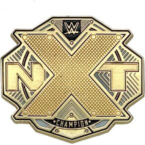 Loot Crate World NXT Championship Belt Pin Like A Boss Slam Crate Official