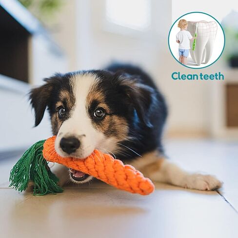 لعبة كلب كبيرة من القطيفة تصدر أصواتًا وحبل قطني، مجموعة ألعاب مضغ، لعبة محشوة على شكل فيل لطيف وجزرة تسنين، مجموعة ألعاب حبل على شكل عقدة من أجل هدية عيد ميلاد للعطلات الصغيرة والمتوسطة والكبيرة (عبوتان) in Kuwait