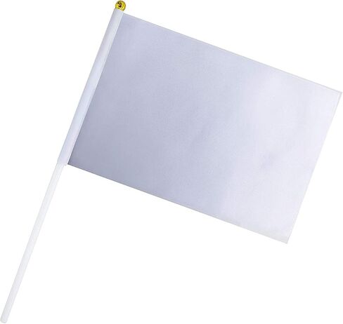25 Pack Pink Colour Flag Pure Solid Pink Flag Small Mini Flags On Stick, Color Decoration School Decoration Office decoration Home decoration in Saudi Arabia