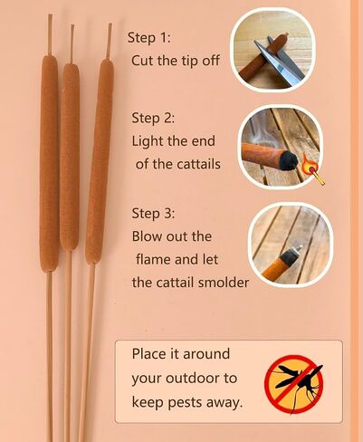 40 Pcs Dried Natural Cattails Jumbo for Rustic Floral Arrangement 17 inch, Fall Wedding Display or Lakefront Themed Center Pieces Home Decoration in Kuwait