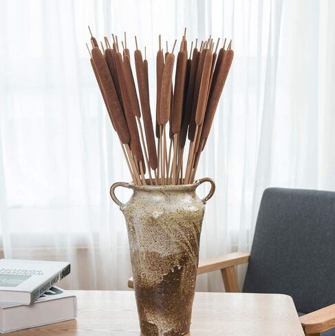 40 Pcs Dried Natural Cattails Jumbo for Rustic Floral Arrangement 17 inch, Fall Wedding Display or Lakefront Themed Center Pieces Home Decoration in Kuwait