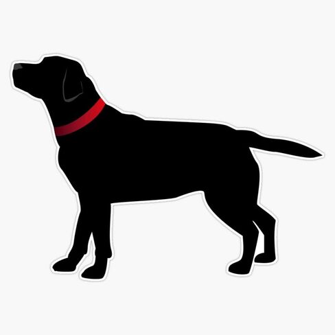 Black Labrador with Red Collar Sticker Sticker Decal Bumper Sticker Waterproof 5"F in Saudi Arabia