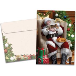 Tree-Free Greetings Christmas Cards and Envelopes, Set of 10, 5 x 7, Cat Nap Santa (HB93213) in Kuwait