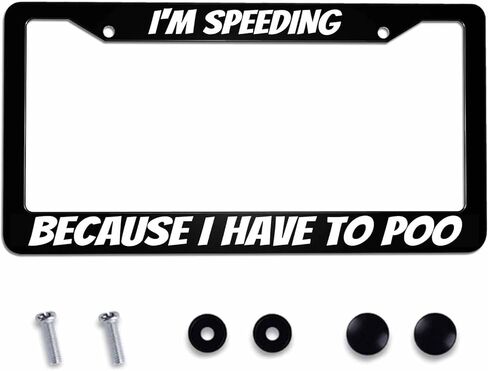 License Plate Frame Jesus Died for Me Now I Live for Him Stainless Steel License Plate Frame with 2 Holes & Free Screws 12.2 x 6.3 Inches in Saudi Arabia