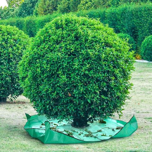 Betus Waterproof 78x78 in Landscape Pruning Tarp with 12 in Center Hole for Shrub Bush & Tree Trimming - Corner Buckles for Fastening - Heavy-Duty Reusable Ground Cover for Garden & Yard Cleanup in Kuwait