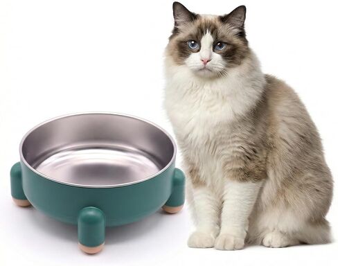 Stainless Steel Elevated Cat Bowl - Non-Slip Tilted Metal Pet Bowl for Cats & Small Dogs, Prevents Feline Acne, Dishwasher Safe, Nordic Design, 3 Cups (24 oz), Green in Saudi Arabia