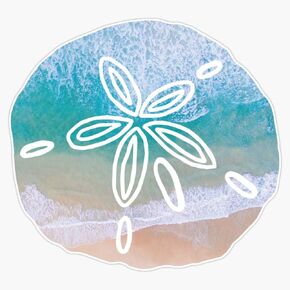Waves Sand Dollar Vinyl Decal Bumper Sticker 5" in Kuwait