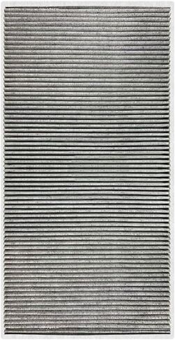 2PC HEPA Air Filter Activated Carbon Air Filter Built-in for Tesla Model Y 2020-2025 Activated Intake High Efficiency Conditioning for Model Y Accessories(For Tesla Model Y Upper Layer) in Saudi Arabia
