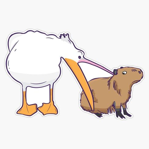 Pelican Tries To Eat Capybara Funny Cute Meme Sticker Bumper Sticker Vinyl Decal 5" in Saudi Arabia