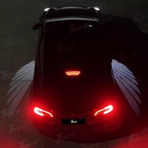 Tlyard Side Rearview Mirror Welcome Lights for Tesla Model 3, Angel Wing Door LED Universal Projector Light Car Accessories, Upgrade Unlocking Light on for 30 Seconds (Model 3) in Kuwait