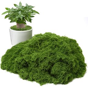 طحلب أخضر صناعي للنباتات بوعاء، 24.7 أونصة ديكور طحلب وهمي للنباتات الداخلية، الحاويات الزجاجية، الزفاف، الحدائق، الحرف اليدوية (أخضر داكن) in Kuwait