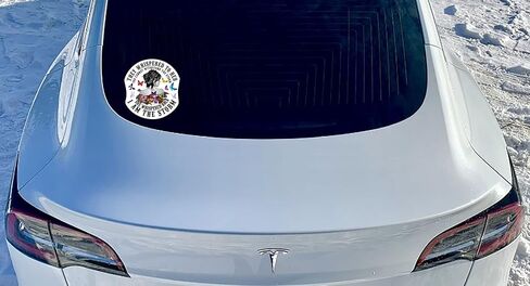 They Whispered to Her You Can Not Withstand The Storm She Whispered Back I Am The Storm Vinyl Waterproof Inspirational Christian Quote Sticker | 5 x 4.5 in | AG-669 in Kuwait