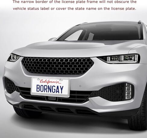 2 PCS License Plate Frames, 2 Holes Rust-Proof License Plate Holder with Screws Kit, Stainless Steel Front Rear Tag Cover for Most Vehicles, Universal Car Accessories in Kuwait