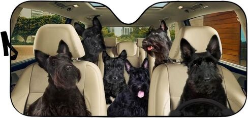 Windshield Sun Shade Scottish Terrier Car Sun Shade Privacy Blackout Keep Interior Cool Comfortable for Most Sedans SUV Truck Automotive 51x28in in Saudi Arabia