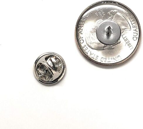 South Carolina State Quarter Lapel Pin – 2000 Palmetto State Coin with Carolina Wren & Sabal Palm – Handmade Gift for Collectors & Southerners in Saudi Arabia