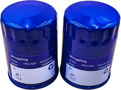 Struggling 2pcs PF63 PF63F Engine Oil Filter For Ford F-150 F-250 F-350 F450 V8 V6,Replaces FL500SB12 AA5Z6714A 12707246 12731742 ZZC423802 PSL542 Baldwin B7449 in Kuwait