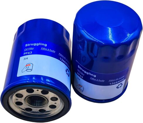 Struggling 2pcs PF63 PF63F Engine Oil Filter For Ford F-150 F-250 F-350 F450 V8 V6,Replaces FL500SB12 AA5Z6714A 12707246 12731742 ZZC423802 PSL542 Baldwin B7449 in Kuwait