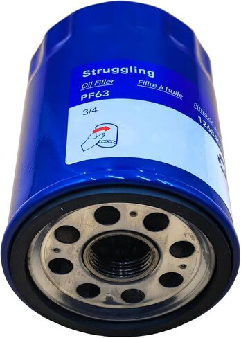 Struggling 2pcs PF63 PF63F Engine Oil Filter For Ford F-150 F-250 F-350 F450 V8 V6,Replaces FL500SB12 AA5Z6714A 12707246 12731742 ZZC423802 PSL542 Baldwin B7449 in Kuwait
