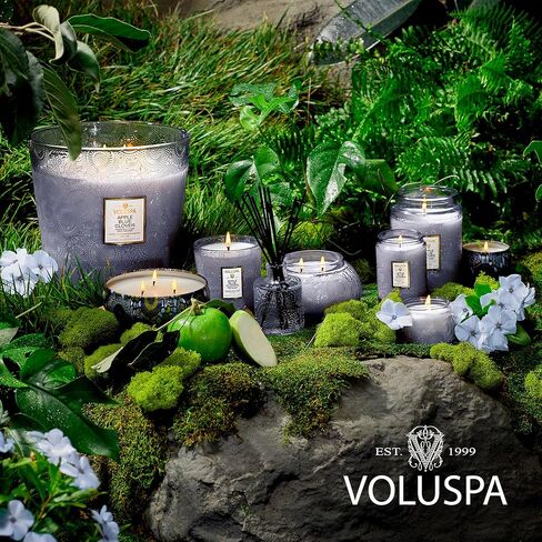 Voluspa Apple Blue Clover, Petite Candle Jar, 3.2 oz, 25 Hour Burn Time, Coconut Wax for Clean Burning, Handcrafted in The USA in Saudi Arabia
