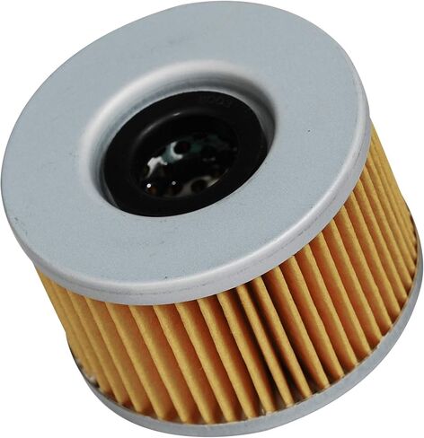 HIFROM Oil Filter Compatible with Honda Rancher Foreman Rubicon Pioneer Big Red TRX400FA TRX400FGA TRX500FA TRX500FPA TRX650FA TRX680FA SXS700M4 MUV700 Replace 15412-KEA-003 (Pack of 4) in Saudi Arabia