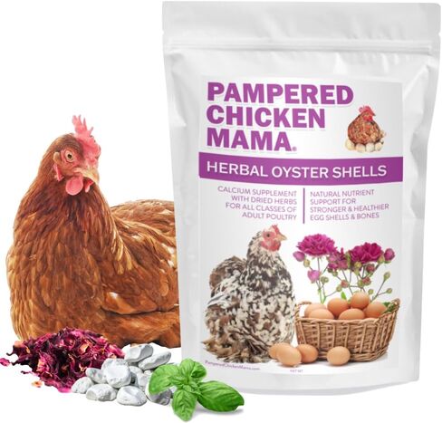 Pampered Chicken Mama Herbal Oyster Shells High Calcium Supplement for Pet Chickens, Ducks, and Other Poultry, Crushed Oyster Shells for Chickens with Herbs (3 POUNDS) in Kuwait