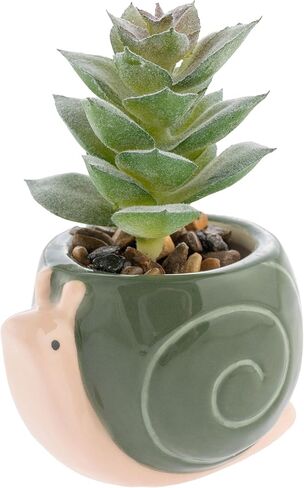 Karma, Shaped Artificial Succulents in Ceramic Pot, Faux Mini Succulent Plant, Desk Decor, Office Plants - Books in Saudi Arabia