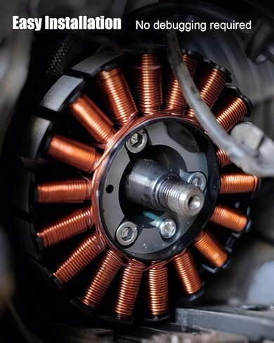 20 Amp Stator Alternator Fit for Onan B & P Series BF BG B43E-GA016 P216 B43G-GA018 OL16 LX720 Replace ‎191-1456 191-0885 191-1256 191-1102 in Saudi Arabia