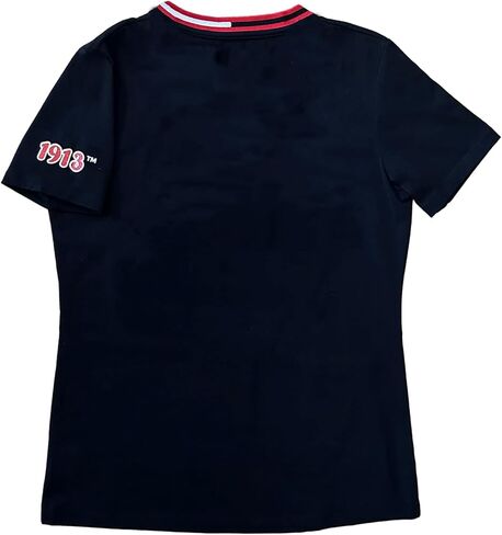 Delta Sigma Theta Design, DST Sorority Script Style Vibrant Glitter Design V-Neck T-Shirt in Saudi Arabia