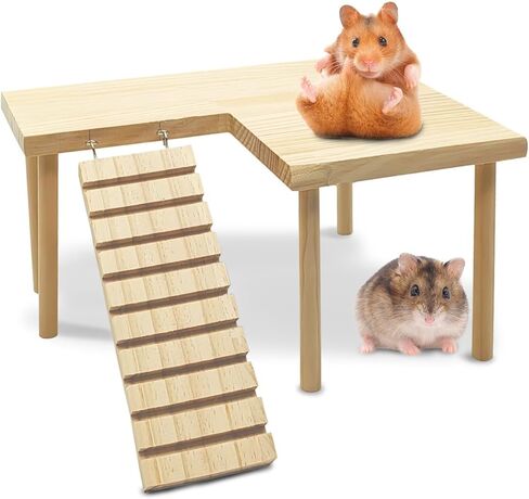 kathson الهامستر منصة خشبية مع سلم منصة الوقوف الطبيعية للحيوانات الصغيرة قفص خنزير غينيا منصة المناظر الطبيعية للحيوانات الصغيرة الجرذ السوري الدب الذهبي شينشيلا in Kuwait