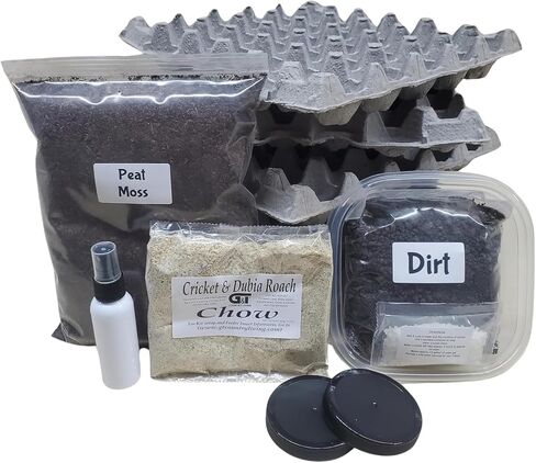 مجموعة مستعمرة الكريكيت: تشتمل على مسطحات البيض، وطحالب الخث (ركيزة الصراصير)، وطحالب الخث (حاوية التكاثر)، وبلورات الماء، وزجاجة رذاذ، وحاوية وغطاءين، وعينة من الكالسيوم (جديد) in Kuwait