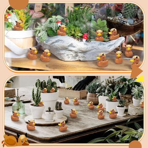 Junkin 100 Pcs Mini Resin Highland Cow Ducks Tiny Resin Highland Cow Duck Figures to Hide Cute Miniature Ducks for Garden Cake Topper Party Favor Table Scatter and DIY Craft Decorations in Saudi Arabia