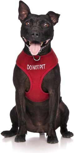 Limited DO NOT PET Red Color Coded Non-Pull Front and Back D Ring Padded and Waterproof Vest Dog Harness Prevents Accidents by Warning Others of Your Dog in Advance (S) in Kuwait