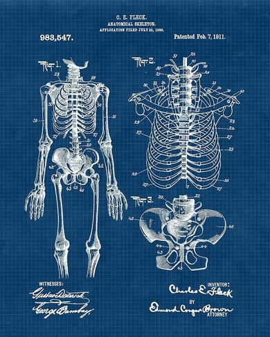 Vintage Medicine Patent Prints, 6 (8x10) Unframed Photos, Wall Art Decor Gift for Home Health Office Work Garage Man Cave College Student Teacher School Nurse Technician Doctor ER Pharmacist Caregiver in Kuwait