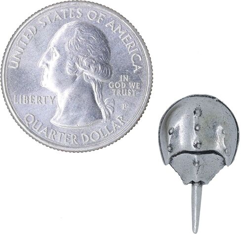 Jim Clift Design Horseshoe Crab Lapel Pin in Kuwait