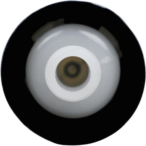 2PCS 6C5-24251-00-00 Fuel Filter Compatible with 2005 and Newer Yamaha Outboards F40 F50 F60 T50 T60 F70 F75 F90 Replace 18-79983 in Kuwait