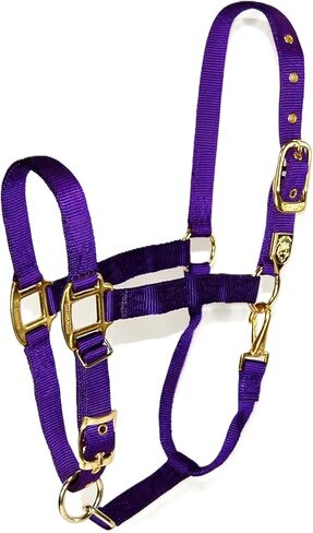 Hamilton 1-Inch Nylon Halter with Adjustable Chin, Wine - Average Size in Saudi Arabia