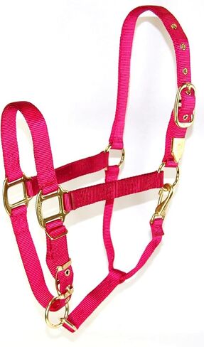 Hamilton 1-Inch Nylon Halter with Adjustable Chin, Wine - Average Size in Saudi Arabia