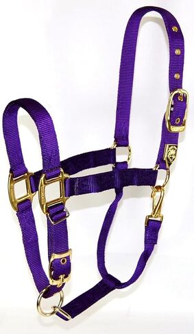 Hamilton 1-Inch Nylon Halter with Adjustable Chin, Wine - Average Size in Saudi Arabia