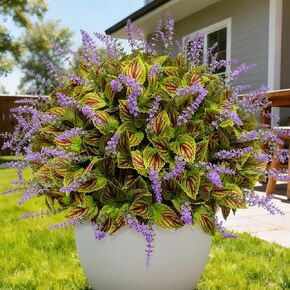 12 Bundles Artificial Flowers for Outdoor Coleus Rainbow with Purple Flowers Realistic Silk UV Resistant Fake Plants for Window Garden Patio Pathway Front Porch (Purple) in Kuwait