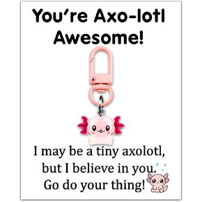 Axolotl Gifts Axolotl Keychain Stuff Easter Gift for Teen Girls Cute Keychains for Women Axolotls Charm Backpack for Girls Axolotls Accessories Teenage Girl Gifts Ideas in Kuwait