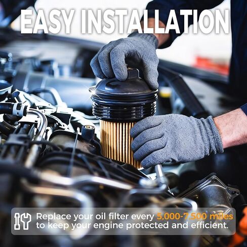 حزمة كومبو فلتر هواء المحرك وفلتر الزيت - متوافقة مع جيب جلاديتور 2020-2023 V6 3.6L، رانجلر 2018-2023 L4 2.0L/V6 3.6-68191349AA&CA12373 in Kuwait